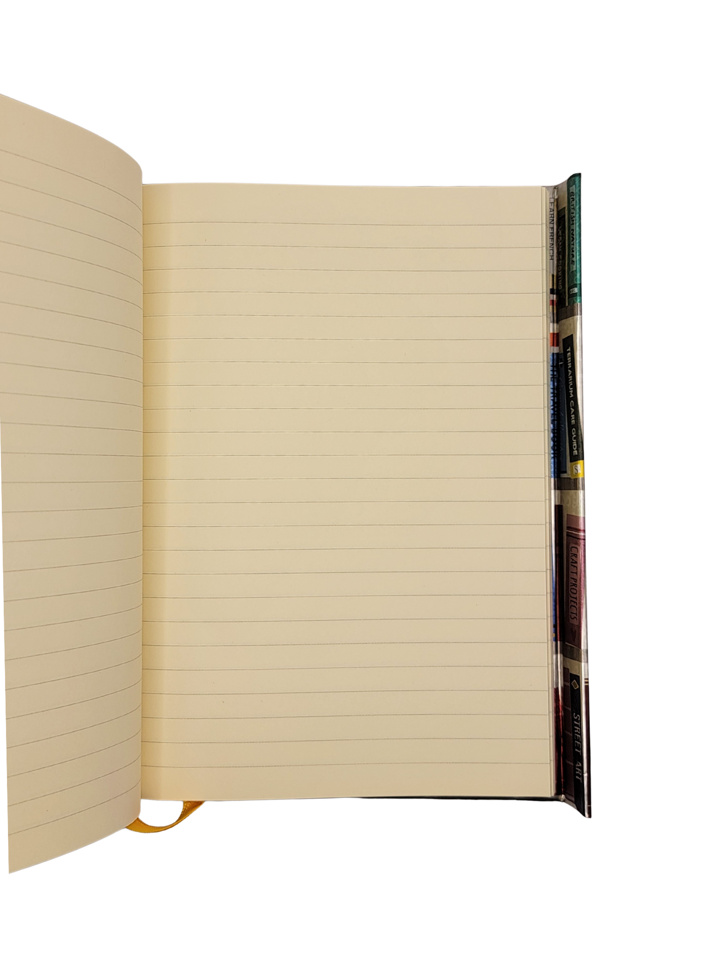 Georgia Breeze: Bookshelves Journal